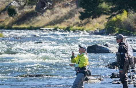 how much is a fishing license in vermont|The Ultimate Guide to Vermont Fishing Licenses and Regulations .